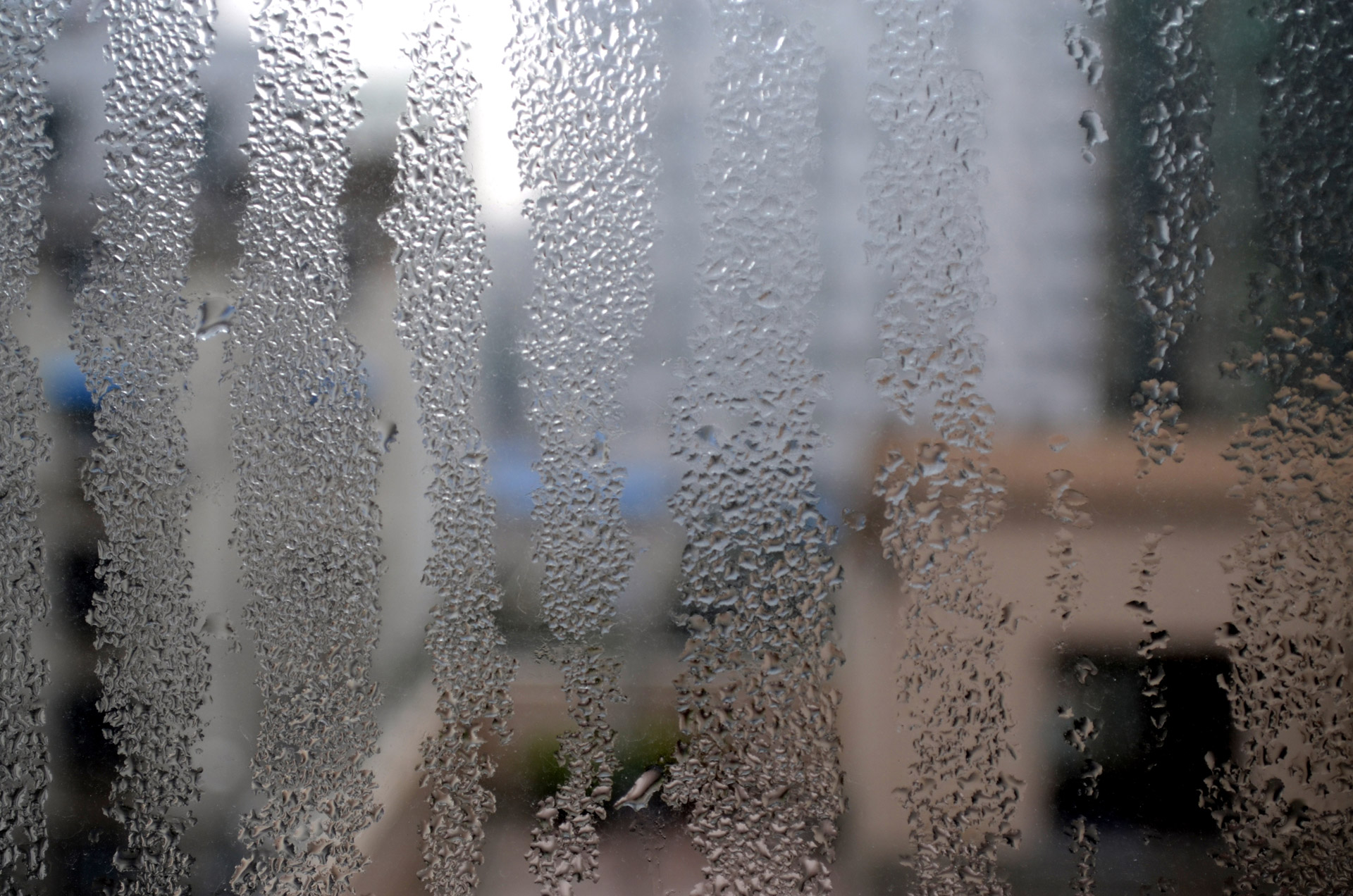 feuchtes Fenster